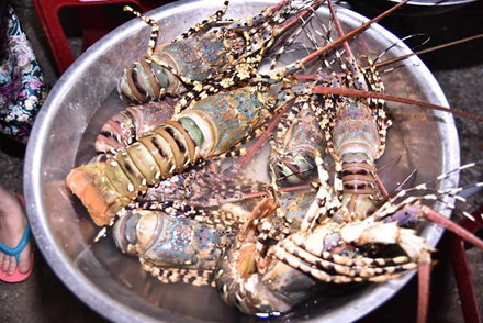 Ve dep hoang so cua “bau vat tu nhien cua Quang Ngai”-Hinh-20