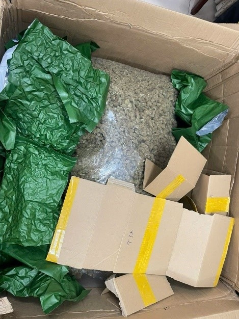 Đề nghị truy tố 14 người trong đường dây mua bán cần sa - Hình 2 De nghi truy to 14 nguoi trong duong day mua ban can sa-Hinh-2