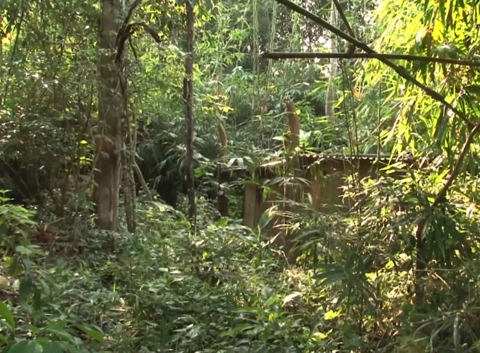 Khi các trinh sát đang tìm cách tiếp cận, Thành bất ngờ bỏ chạy. Kết hợp với nhiều tài liệu khác, Công an tỉnh Quảng Trị khẳng định 2 đối tượng này là nghi phạm liên quan đến cái chết của 5 phu trầm. Qua công tác trinh sát, công an phát hiện người thân của một trong 2 đối tượng đi tiếp tế, từ đó đã xác định được chúng trốn ở một hang đá trong rừng Ma. Kiên trì mật phục, ngày 2/4 các trinh sát đã bắt giữ được Công khi hắn ra khỏi hang lấy nước. (Ảnh minh họa, nguồn internet)