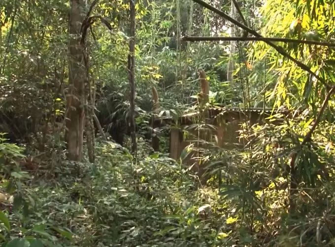 Khi các trinh sát đang tìm cách tiếp cận, Thành bất ngờ bỏ chạy. Kết hợp với nhiều tài liệu khác, Công an tỉnh Quảng Trị khẳng định 2 đối tượng này là nghi phạm liên quan đến cái chết của 5 phu trầm. Qua công tác trinh sát, công an phát hiện người thân của một trong 2 đối tượng đi tiếp tế, từ đó đã xác định được chúng trốn ở một hang đá trong rừng Ma. Kiên trì mật phục, ngày 2/4 các trinh sát đã bắt giữ được Công khi hắn ra khỏi hang lấy nước. (Ảnh minh họa, nguồn internet)