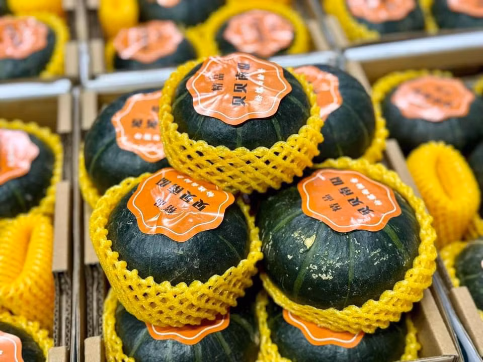 Bí ngô thơm mùi hạt dẻ gây sốt “chợ mạng” với giá đắt đỏ - Hình 2 Bi ngo thom mui hat de gay sot “cho mang” voi gia dat do-Hinh-2