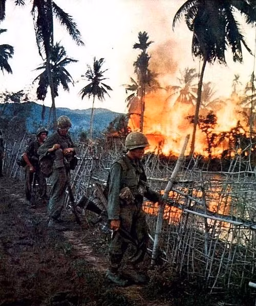 Ban đầu, chiến dịch này do lực lượng tình báo Mỹ và tình báo Sài Gòn thực hiện. Tuy nhiên, vì sự leo thang của cuộc Chiến tranh Việt Nam mà quy mô của chiến dịch Phụng Hoàng đã phải mở rộng ra và được thực hiện bằng mọi lực lượng quân sự mà Mỹ có trong tay. Nguồn ảnh: Pinterest.