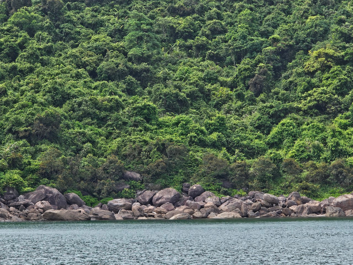 Lần đầu tiên đặt chân tới đây, đoàn khách đến từ Hà Nội xuýt xoa trước vẻ đẹp hùng vĩ của thiên nhiên quanh bán đảo Sơn Trà.