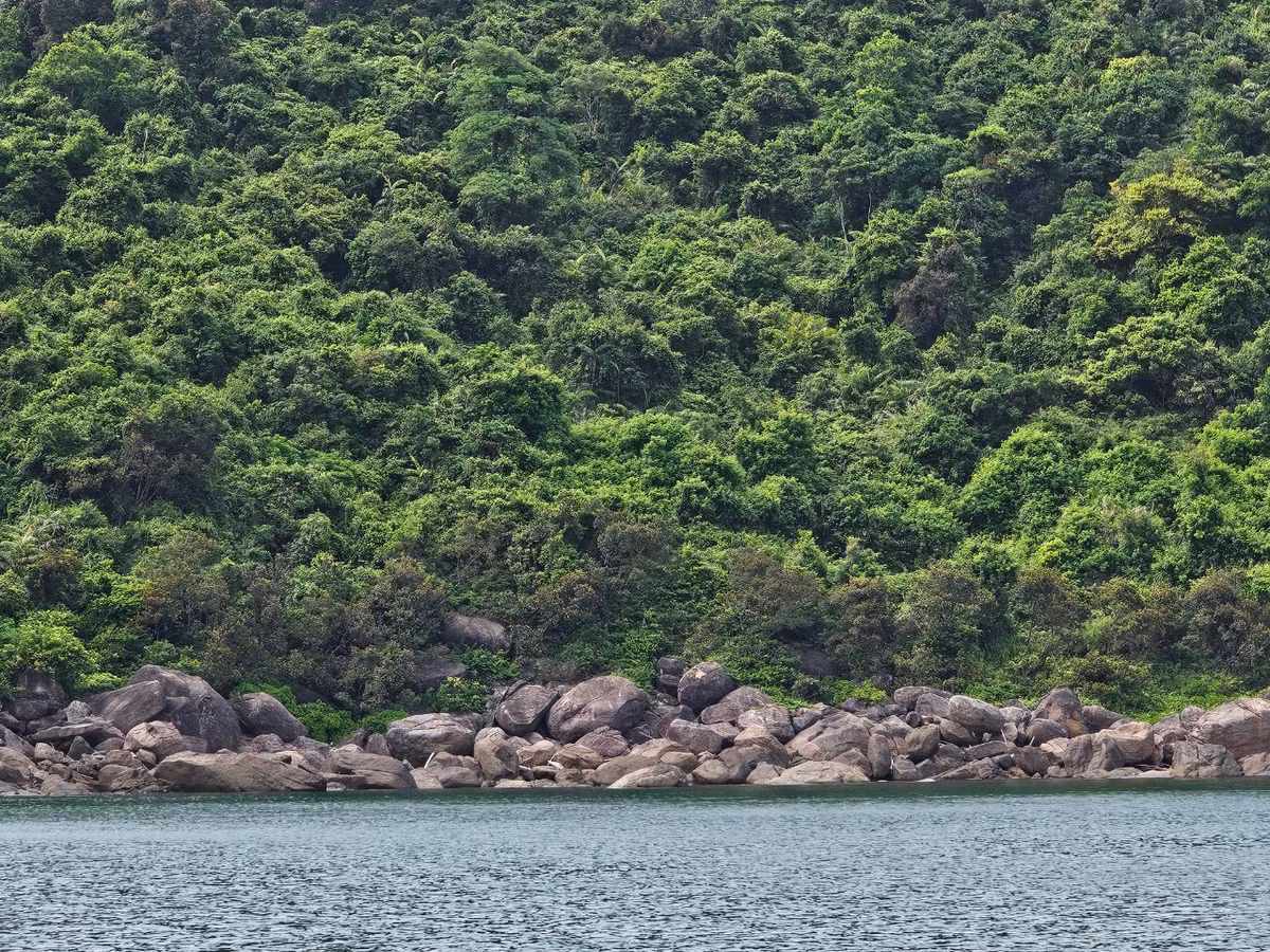 Lần đầu tiên đặt chân tới đây, đoàn khách đến từ Hà Nội xuýt xoa trước vẻ đẹp hùng vĩ của thiên nhiên quanh bán đảo Sơn Trà.