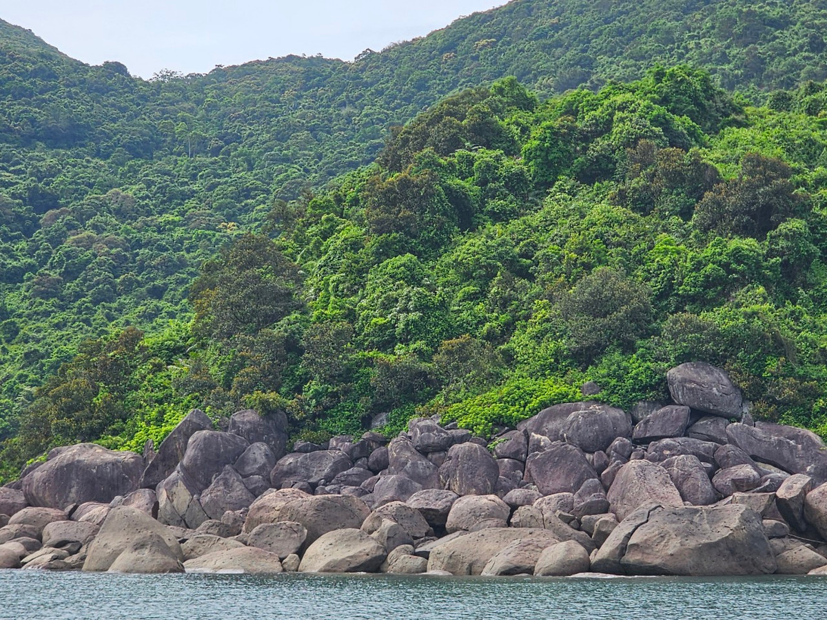 Vẻ đẹp hoang sơ, hùng vĩ, hòa quyện giữa rừng và biển nơi Thiên đường biển dưới chân núi Khỉ khiến bao du khách đắm say.