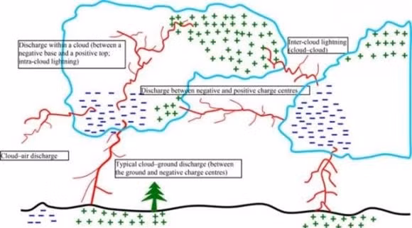 Ly giai 550 con cuu o Georgia chet vi hai tia set-Hinh-6