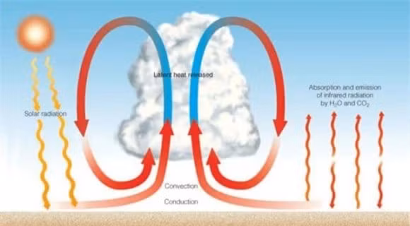Ly giai 550 con cuu o Georgia chet vi hai tia set-Hinh-3