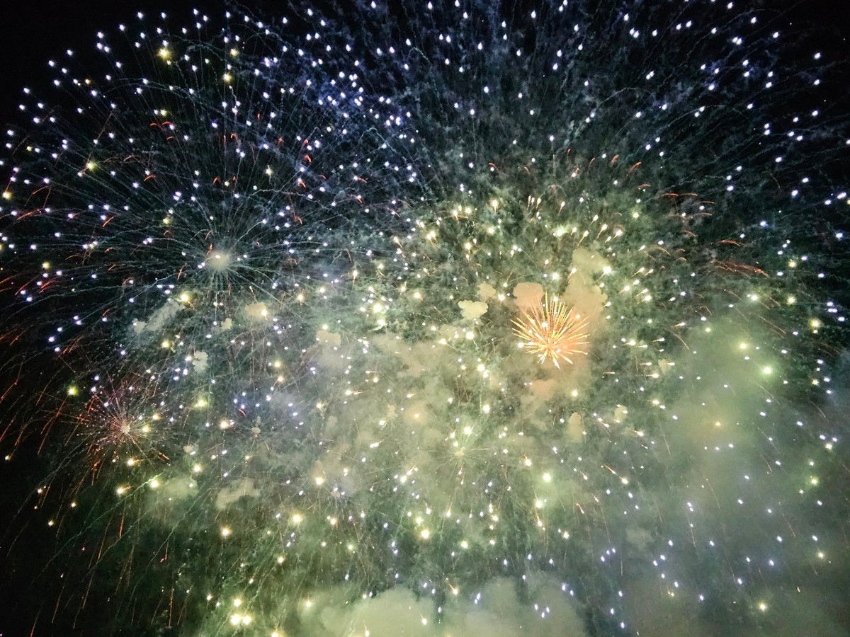 Kể từ khi thành lập, đội pháo hoa ArtEventia đã liên tục kiến tạo những buổi trình diễn đa dạng, ghi dấu ấn mạnh mẽ ở nhiều quốc gia trên thế giới.