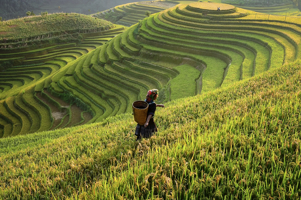 6 dia diem thich hop cho du khach Viet trai nghiem dap xe-Hinh-10