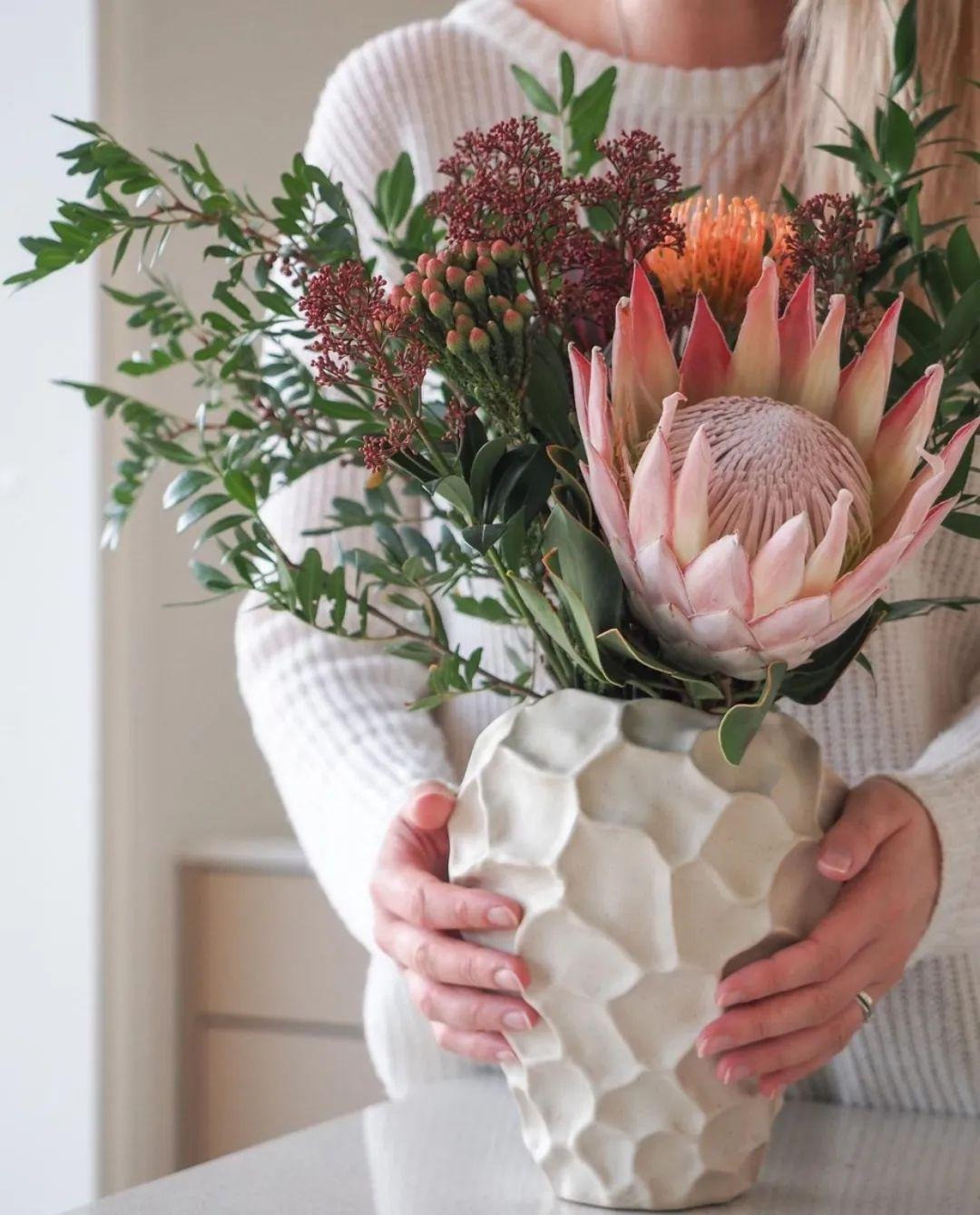 Khi hoa nở rộ, nó có hình quả bóng lớn với nhiều nhị hoa và được bao quanh bởi những lá bắc khổng lồ nhiều màu sắc. Toàn bộ bông hoa trông to lớn, nhiều màu sắc, quý phái và trang nhã, toát lên vẻ trang nghiêm của hoàng gia. 