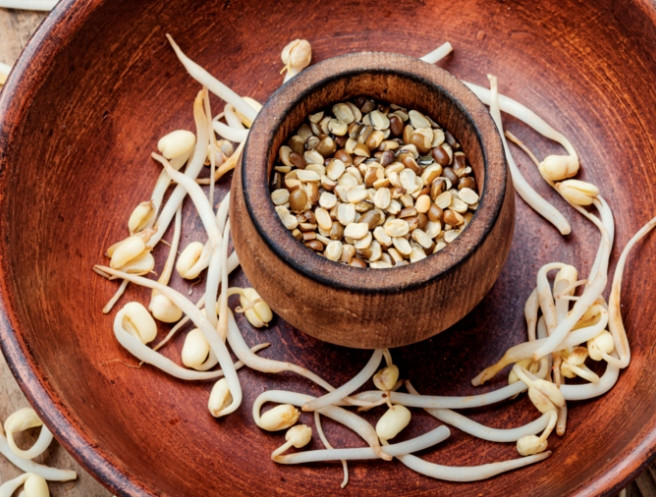 6 ly do nen chon gia do xanh cho thuc don hang ngay