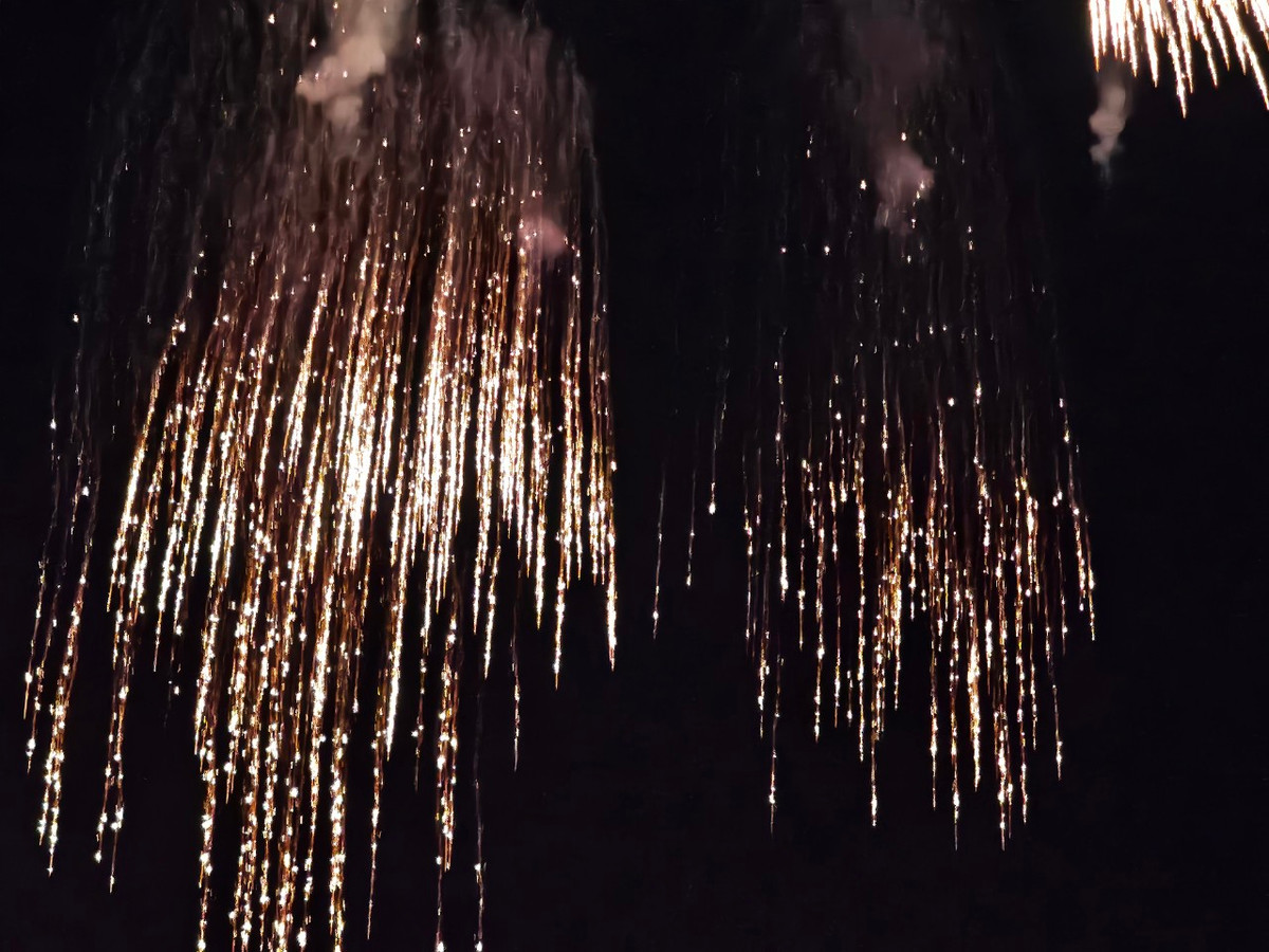 Những bông pháo bung nở rực rỡ trên bầu trời đêm.