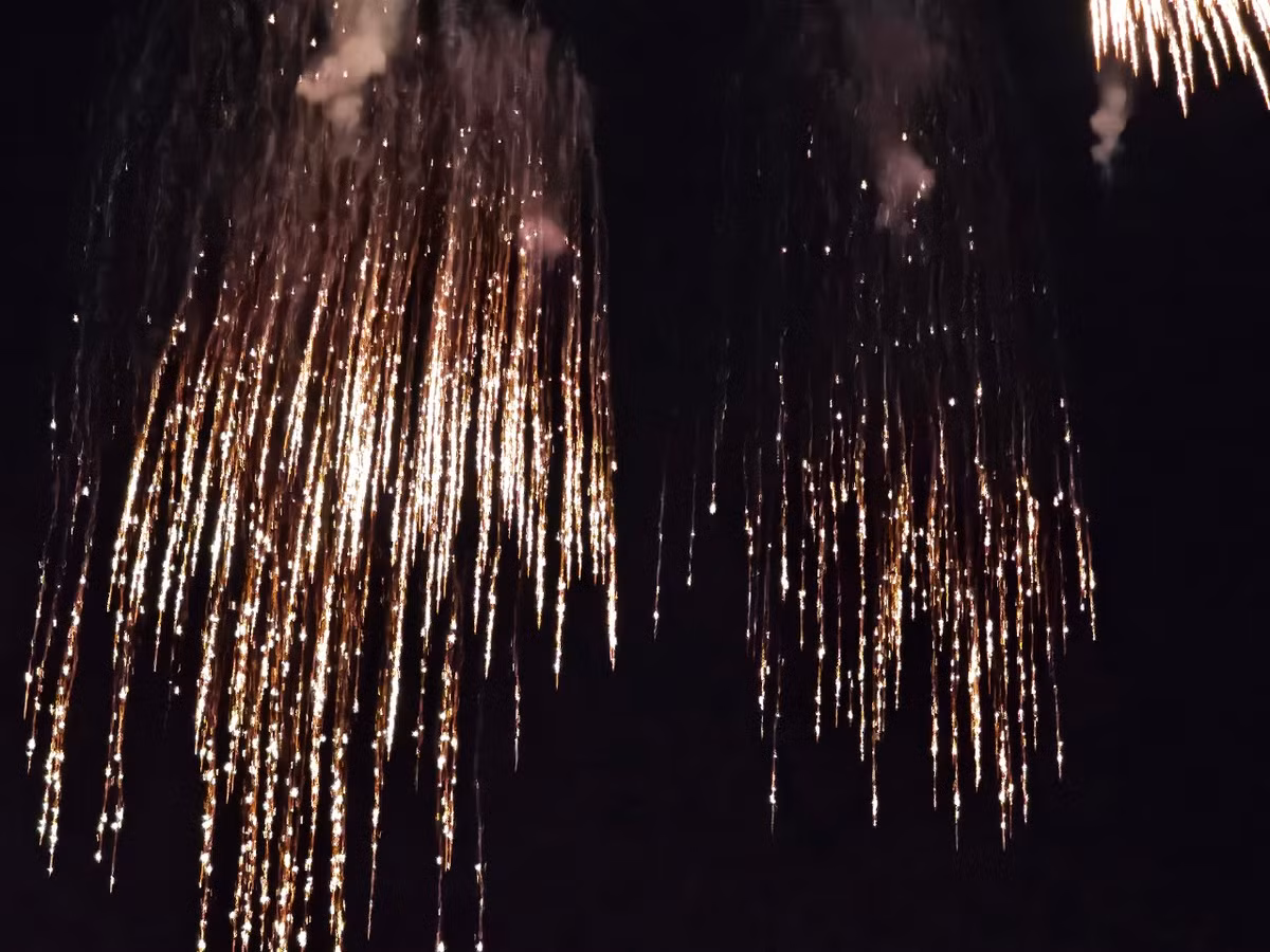 Những bông pháo bung nở rực rỡ trên bầu trời đêm.