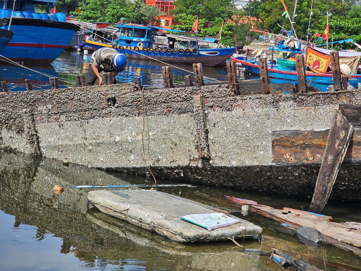 Nhiều xác tàu mục nát nằm trơ khung.