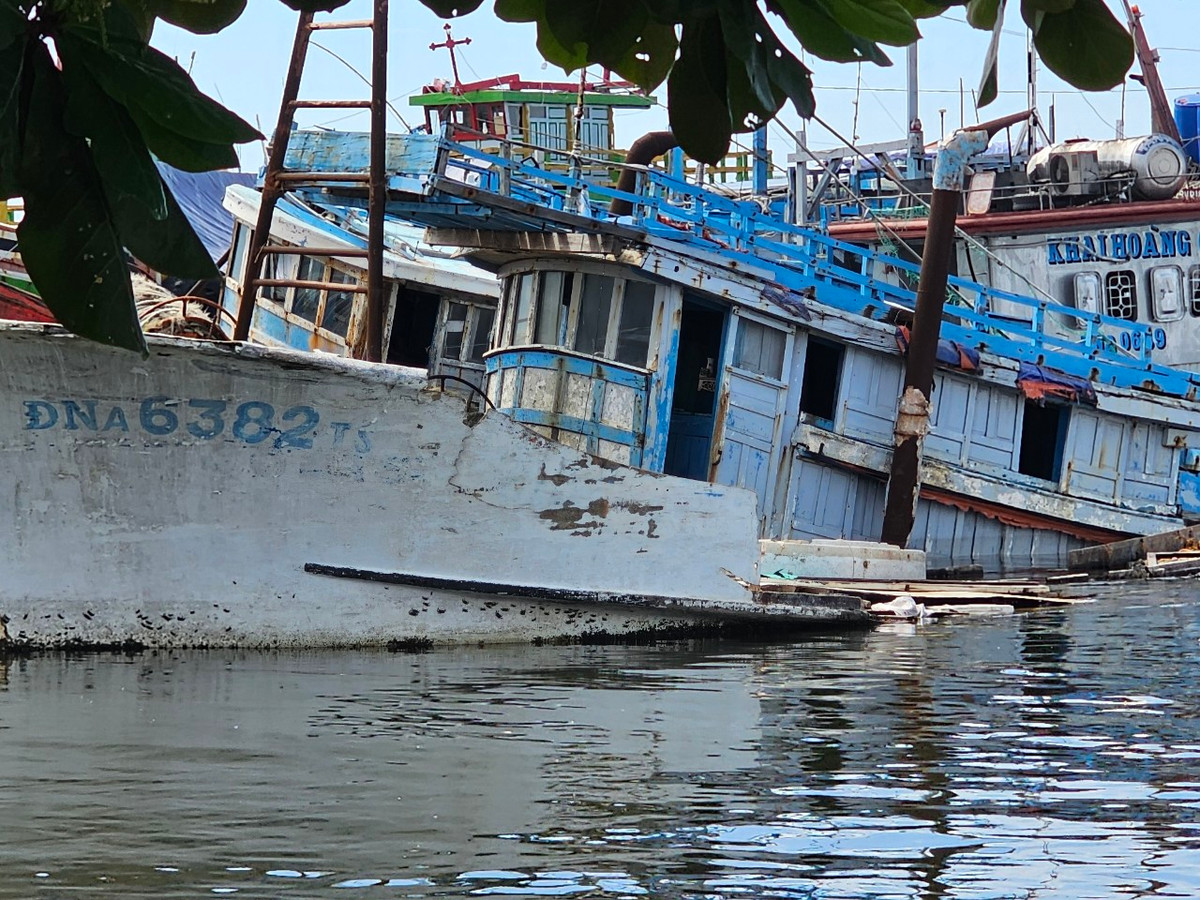 Vịnh Mân Quang trở thành "điểm đến lý tưởng" cho các loại tàu, sà lan hỏng.