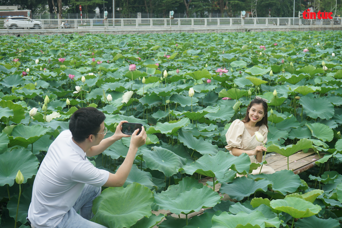  Đầm sen Tây Hồ luôn thu hút nhiều bạn trẻ check-in, chụp ảnh kỷ niệm.