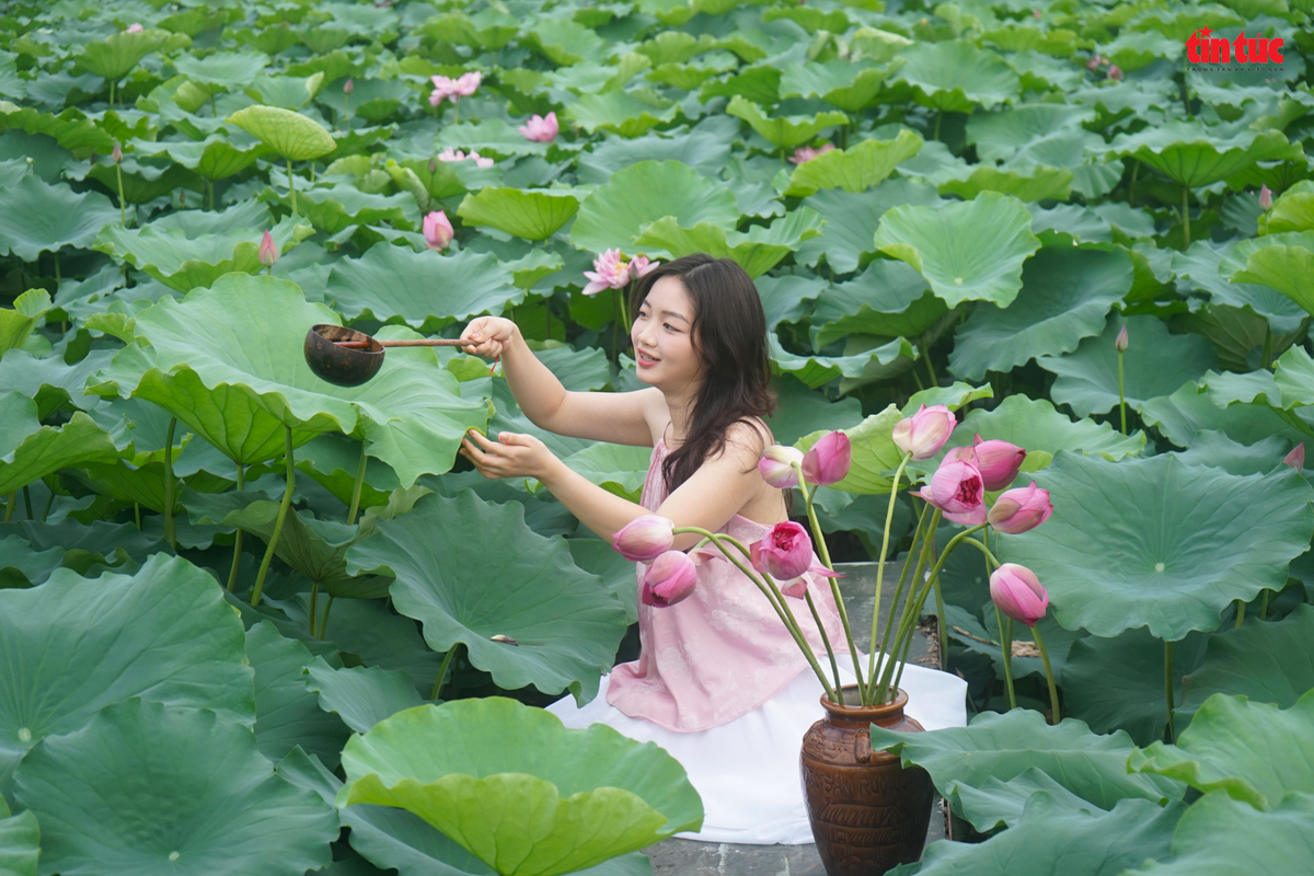 Các bạn trẻ tạo hình chụp ảnh với hoa sen.