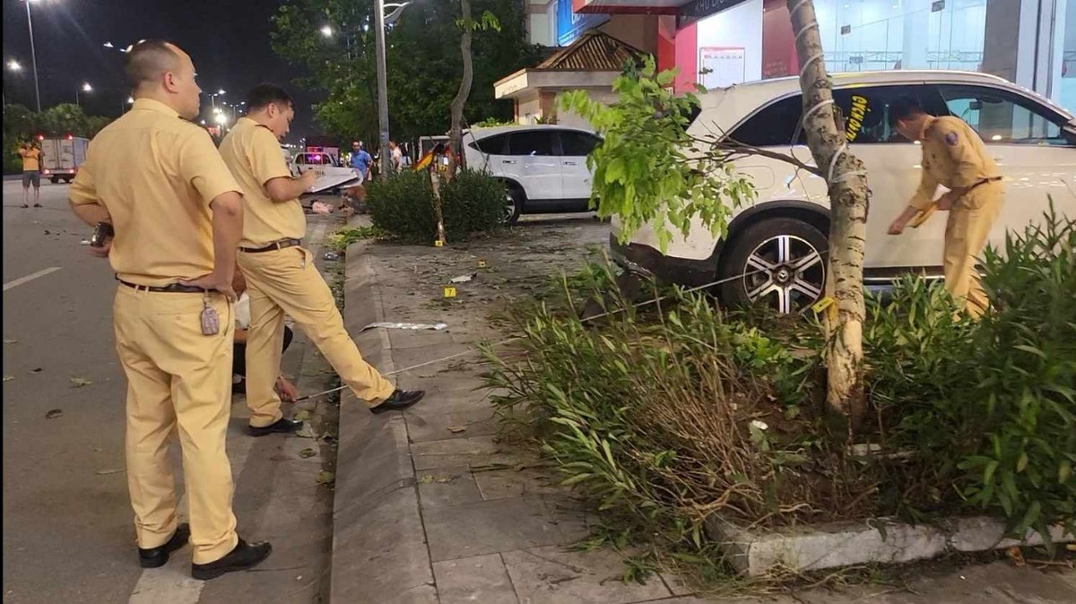 2 cây xà cừ có đường kính khoảng 15cm bị nghiêng.