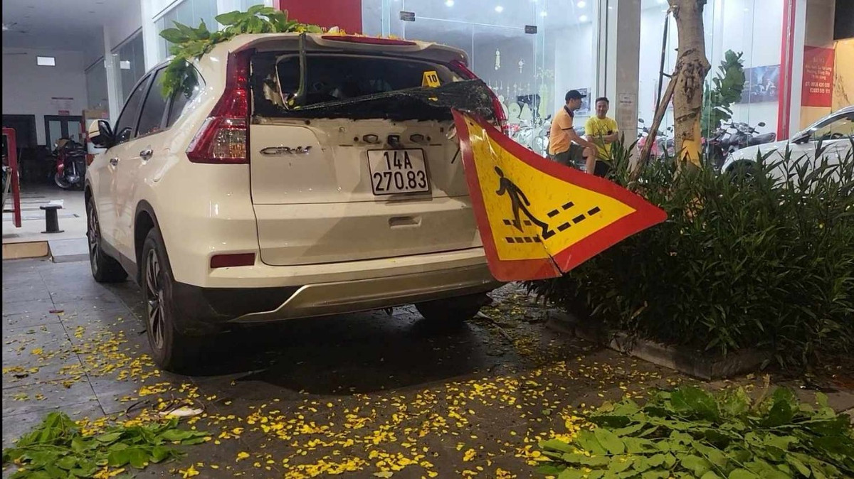 Một cán bộ thuộc Đội CSGT số 2 (Công an tỉnh Quảng Ninh) cho biết: “Vụ việc xảy ra khoảng lúc 18h, trong xe có 2 cháu nhỏ bị thương đã được đưa đi viện cấp cứu."