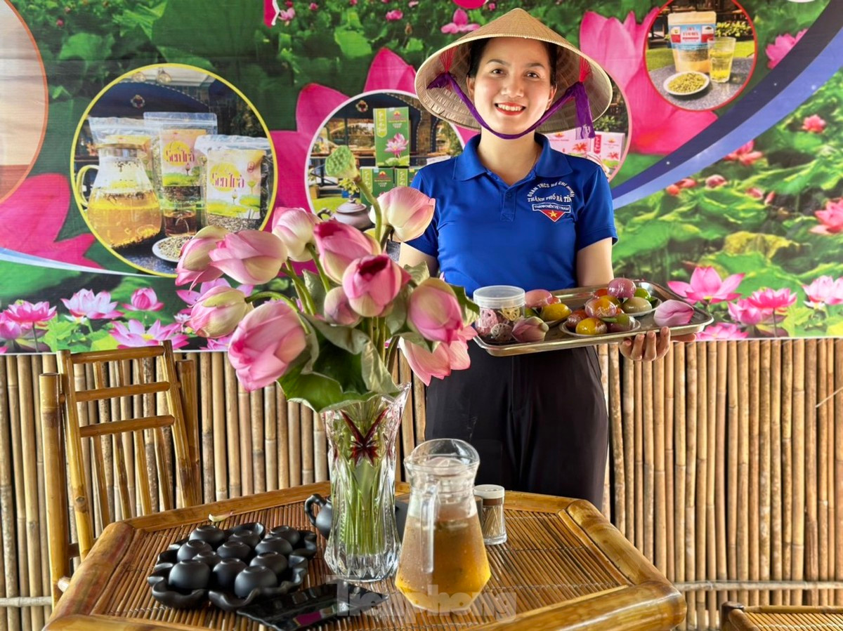 Hoa sen, búp sen, lá sen, đài sen được thu hoạch, tạo nên rất nhiều sản phẩm phục vụ nhu cầu của người tiêu dùng.