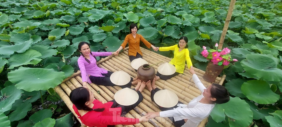 Đầm sen thanh niên thu hút nhiều lượt khách đến tham quan, chụp ảnh.