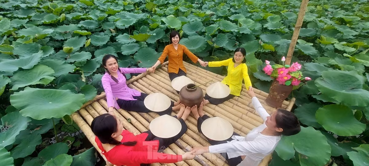 Đầm sen thanh niên thu hút nhiều lượt khách đến tham quan, chụp ảnh.