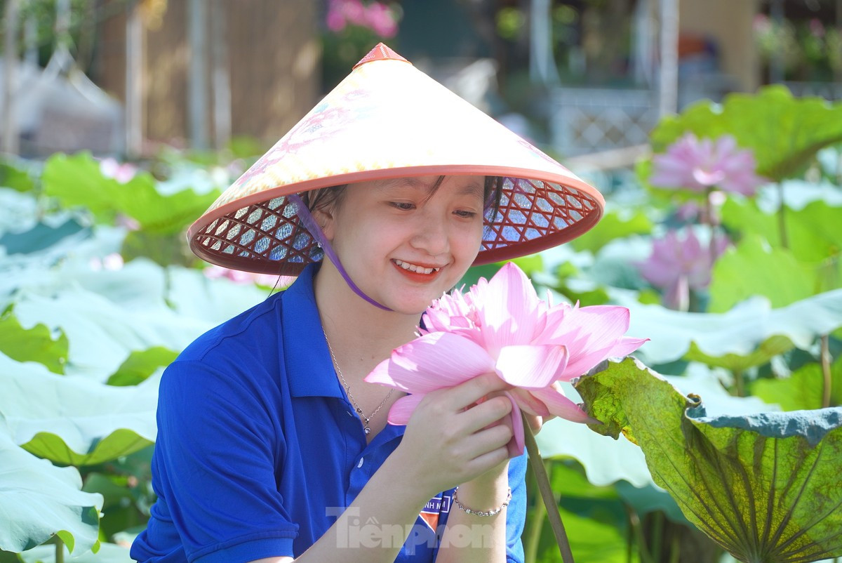 Mô hình sen thanh niên có 8 người tham gia, là những đoàn viên thanh niên trên địa bàn