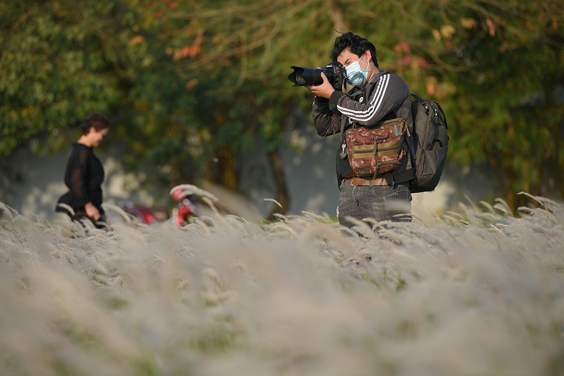 Đồng cỏ lau trở thành đề tài sáng tác vô tận cho những người yêu nhiếp ảnh.