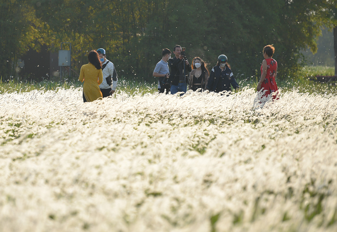 Dịp cuối tuần, có hàng trăm bạn trẻ tới đây check-in, ghi lại những khoảnh khắc đẹp này.