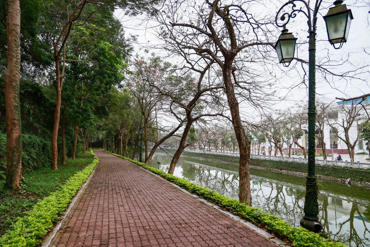 Tuyến phố đi bộ thí điểm có tổng chiều dài 820m, tổng diện tích sử dụng 34.550m2, kéo dài từ cổng cũ trụ sở UBND thị xã (phố Phó Đức Chính) đến cầu Cửa Tiền (ngã 3 Quang Trung - Nguyễn Thái Học).