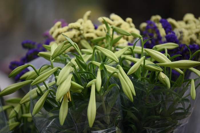 Đi khắp các con phố Hà Nội vào thời điểm này, không khó để bắt gặp những chiếc xe đạp chở đầy hoa loa kèn đầu mùa tràn đầy sức sống.