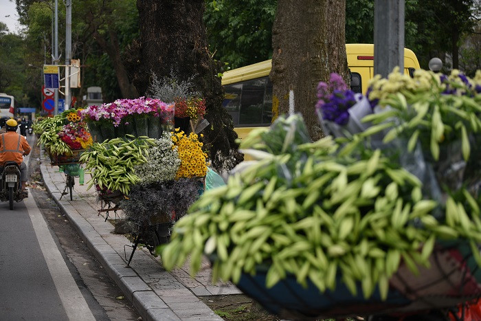 Hoa loa kèn được mệnh danh là hoa "nữ hoàng tháng tư". Loa kèn còn có tên gọi khác là hoa huệ tây hay hoa bách hợp, thường rộ vào đầu tháng tư và đến giữa tháng năm là hết mùa.