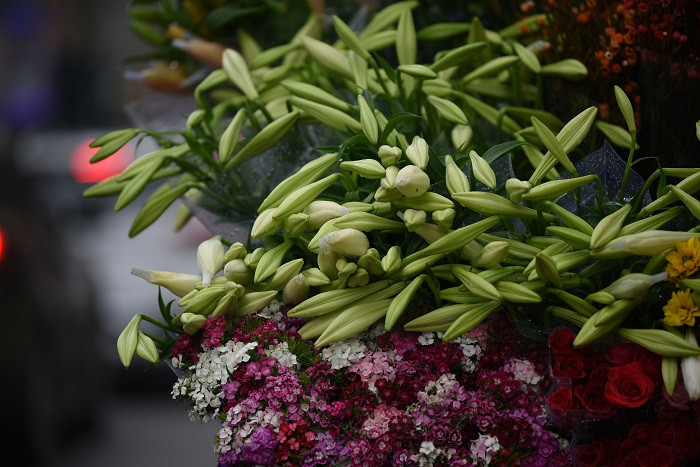 Tại nhiều tuyến đường của Hà Nội như Thụy Khuê, Phan Đình Phùng, Láng Hạ, Thanh Niên, Giảng Võ, Trần Xuân Soạn, Hoàng Đạo Thúy, Mai Xuân Thưởng, Bà Triệu, Nguyễn Công Trứ... những gánh hoa loa kèn đã bắt đầu xuống phố.