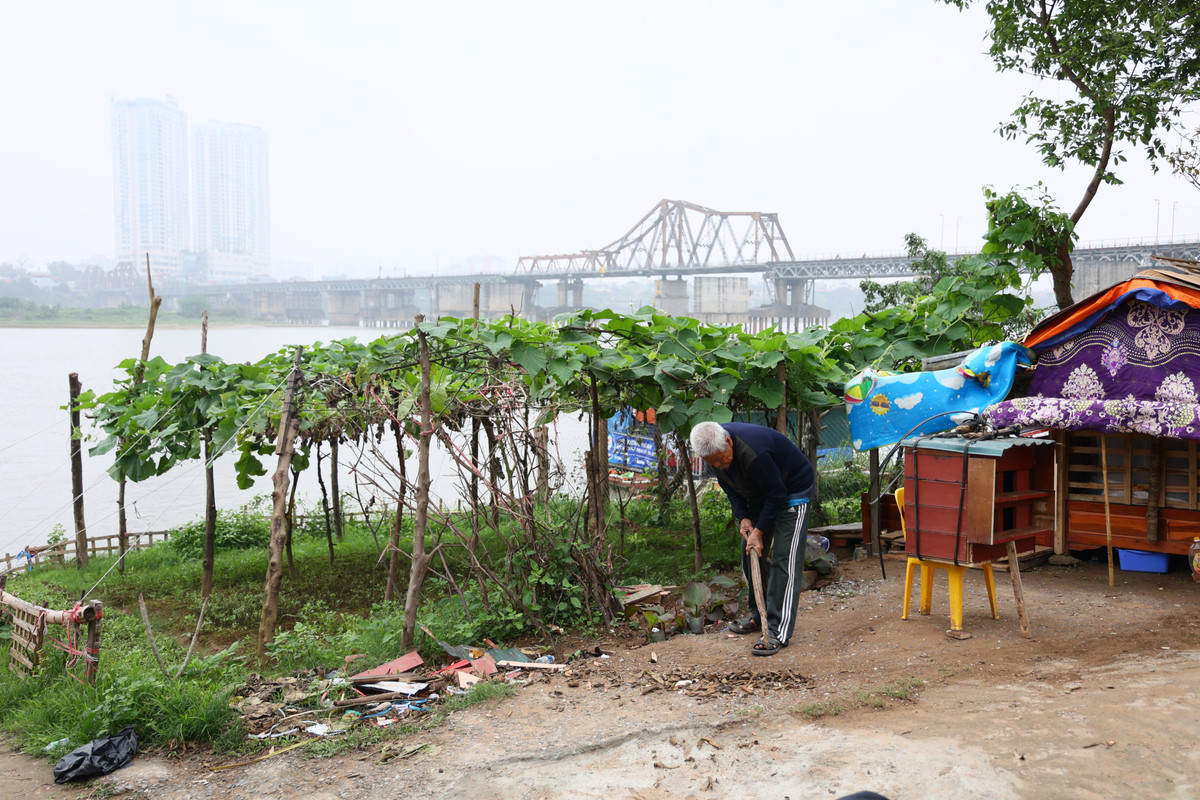 Khu vực bãi giữa, bãi bồi ven sông Hồng trên địa bàn quận Hoàn Kiếm, thuộc địa bàn phường Chương Dương và Phúc Tân. Khu vực bãi giữa có diện tích khoảng 23 ha, khu vực bãi bồi ven sông rộng 11,2ha.