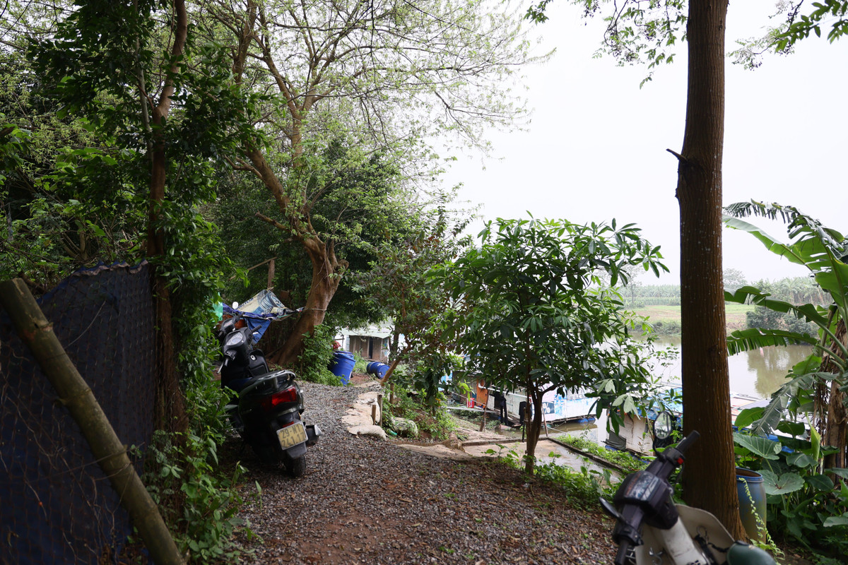 Nếu quy hoạch thành Công viên văn hoá và du lịch, quận Hoàn Kiếm sẽ tôn tạo các không gian xanh, cảnh quan,... Đồng thời, giải quyết vấn đề lấn chiếm đất bãi giữa, bãi bồi ven sông Hồng, vi phạm trật tự xây dựng, cải thiện vệ sinh môi trường.