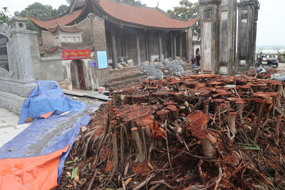 Ha Noi thanh tra “nong” viec tu sua dinh Chem gay buc xuc du luan-Hinh-2