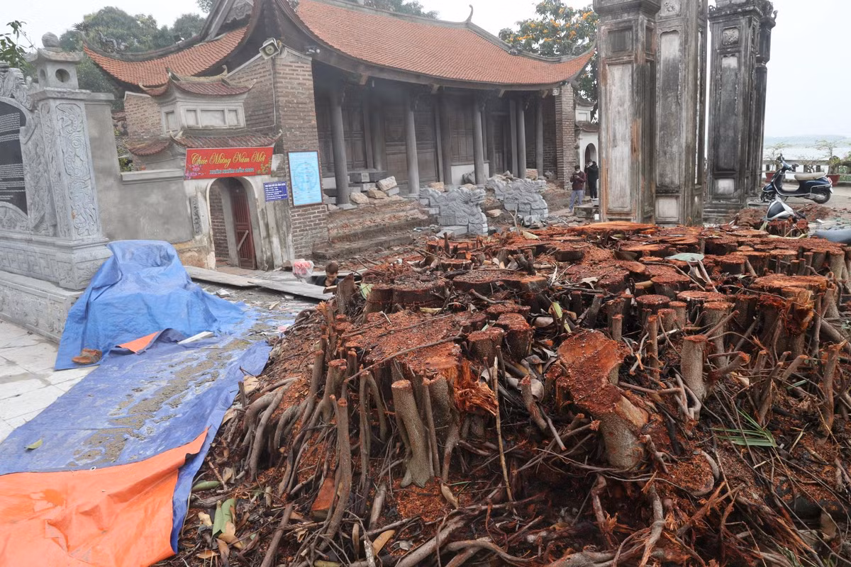 Ha Noi thanh tra “nong” viec tu sua dinh Chem gay buc xuc du luan-Hinh-2