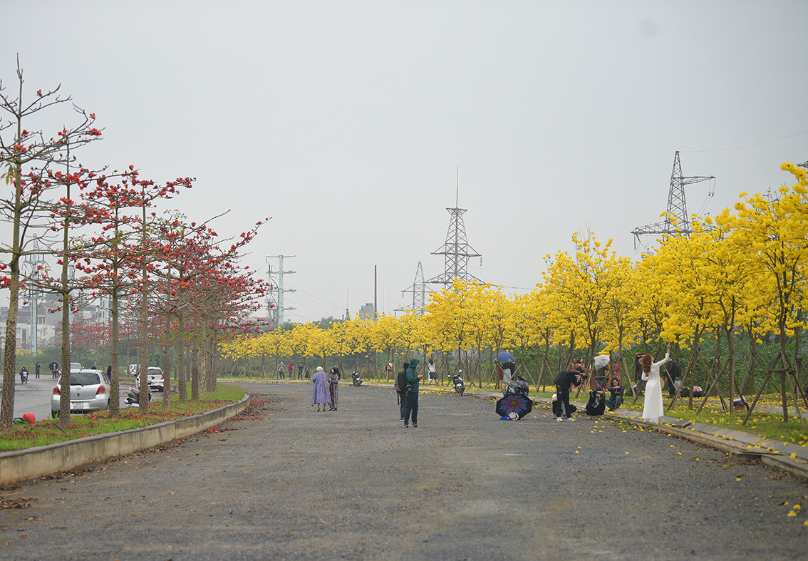 Nhiều người dân sống trong chính khu đô thị cũng tỏ ra bất ngờ khi đường hoa nở rộ.
