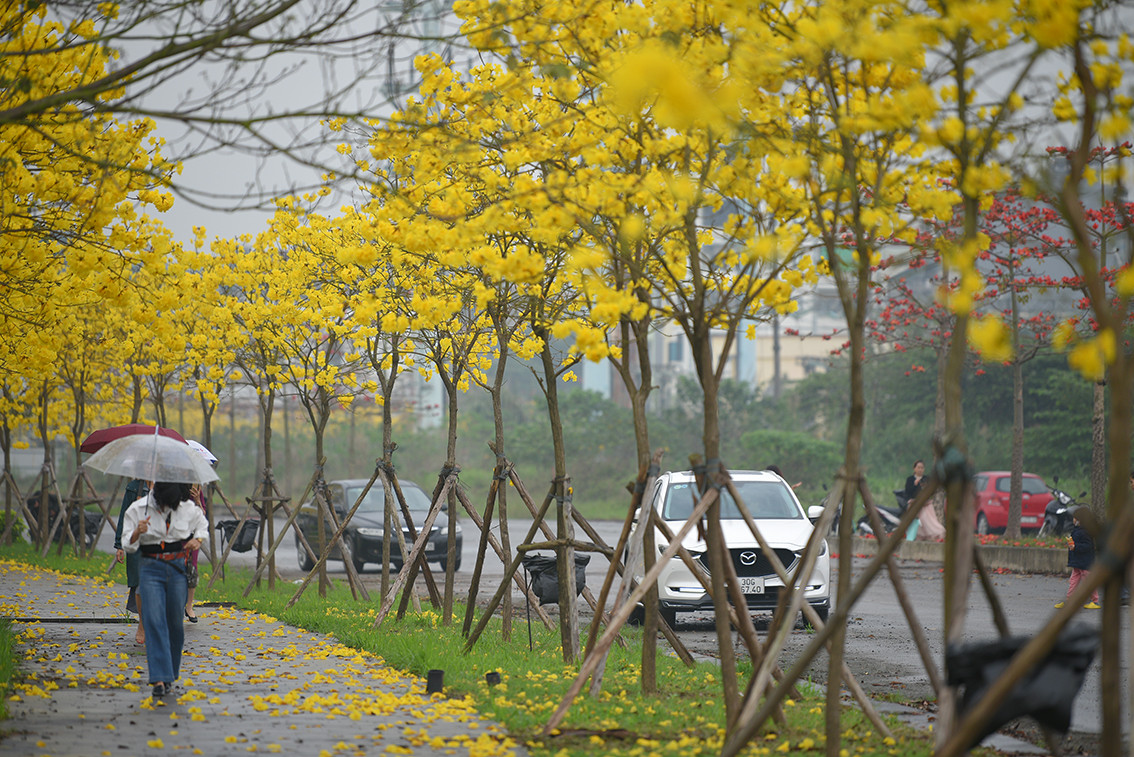 Đường hoa là ý tưởng sáng tạo mang lại vẻ mới lạ cho khu đô thị.
