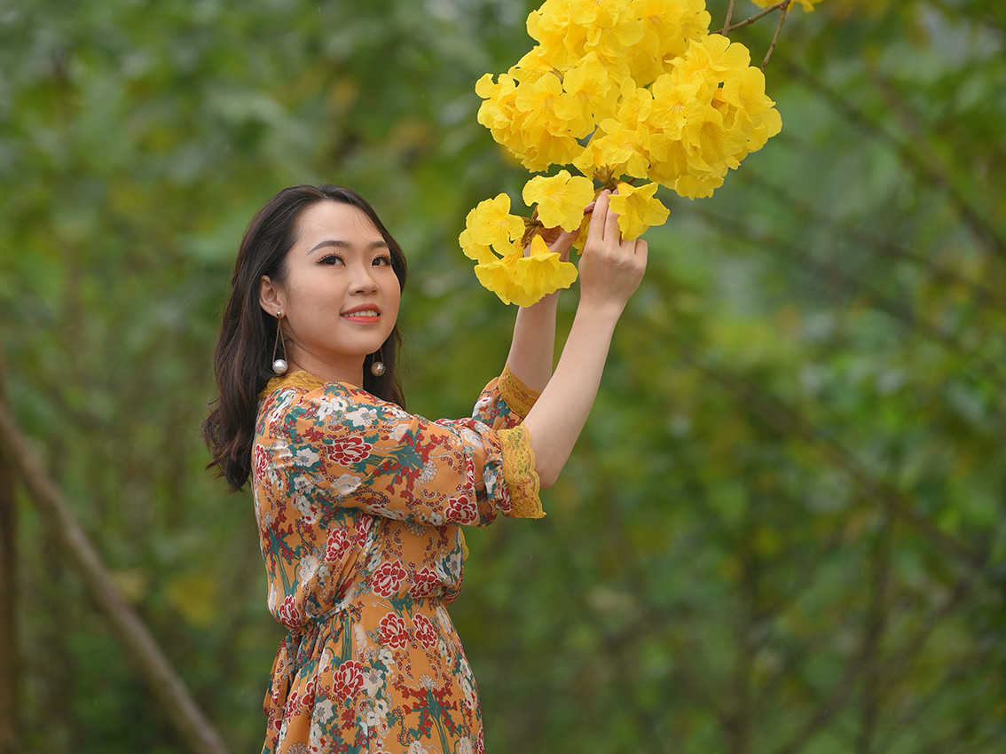 Có hình dáng giống chiếc chuông nên hoa Phong Linh còn được gọi là hoa chuông vàng.