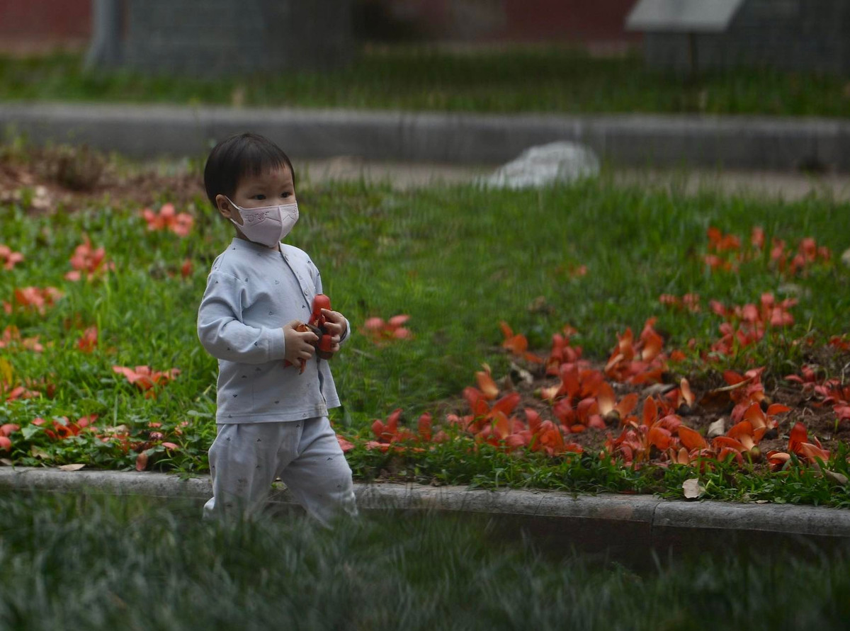 Ngoài ra, du khách còn được tìm hiểu nhiều bảo vật đang được lưu giữ tại bảo tàng có gắn bó với đời sống của người Việt như: Trống đồng Ngọc Lũ, chuông chùa Vân Bản, cây Hương đá chùa Tứ kỳ, cây cầu đá…