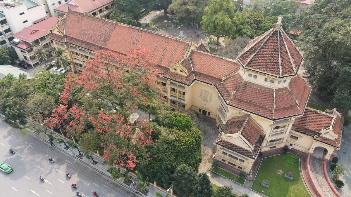 Cây gạo này có chiều cao tương đương một toà nhà cao tầng và có tán rộng che kín một khoảng sân lớn.