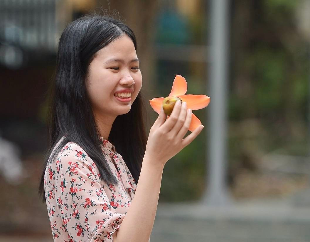 Hoa gạo thu hút sự chú ý từ người già tới các bạn trẻ.