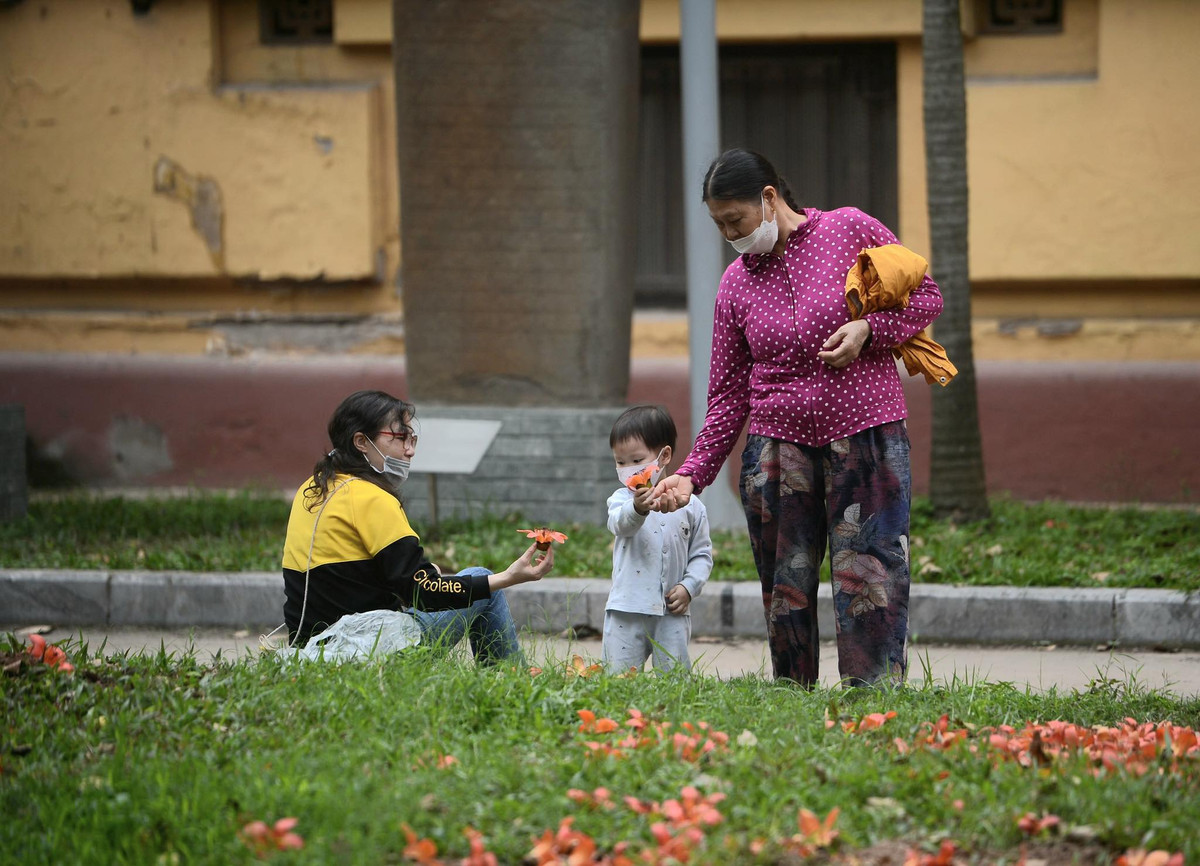 Theo đó, tour du lịch sẽ đưa du khách tới tận ngắm 2 cây gạo cổ thủ lớn nhất Hà Nội tại Bảo tàng lịch sử Quốc gia Việt Nam.
