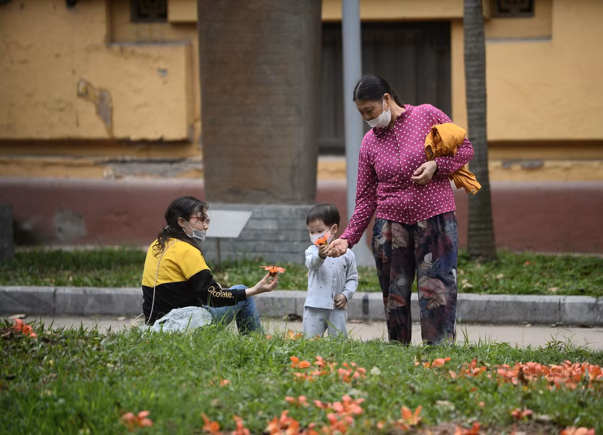 Theo đó, tour du lịch sẽ đưa du khách tới tận ngắm 2 cây gạo cổ thủ lớn nhất Hà Nội tại Bảo tàng lịch sử Quốc gia Việt Nam.
