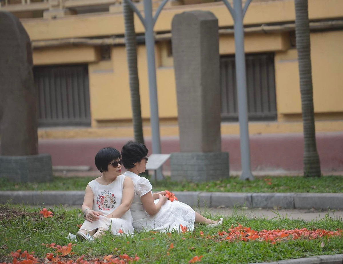 Cứ vào tháng ba hằng năm, khuôn viên của bảo tàng là một trong những điểm đến hấp dẫn khi được tô thắm bởi sắc đỏ của cây hoa gạo cổ thụ cạnh công trình kiến trúc mang phong cách Đông Dương.