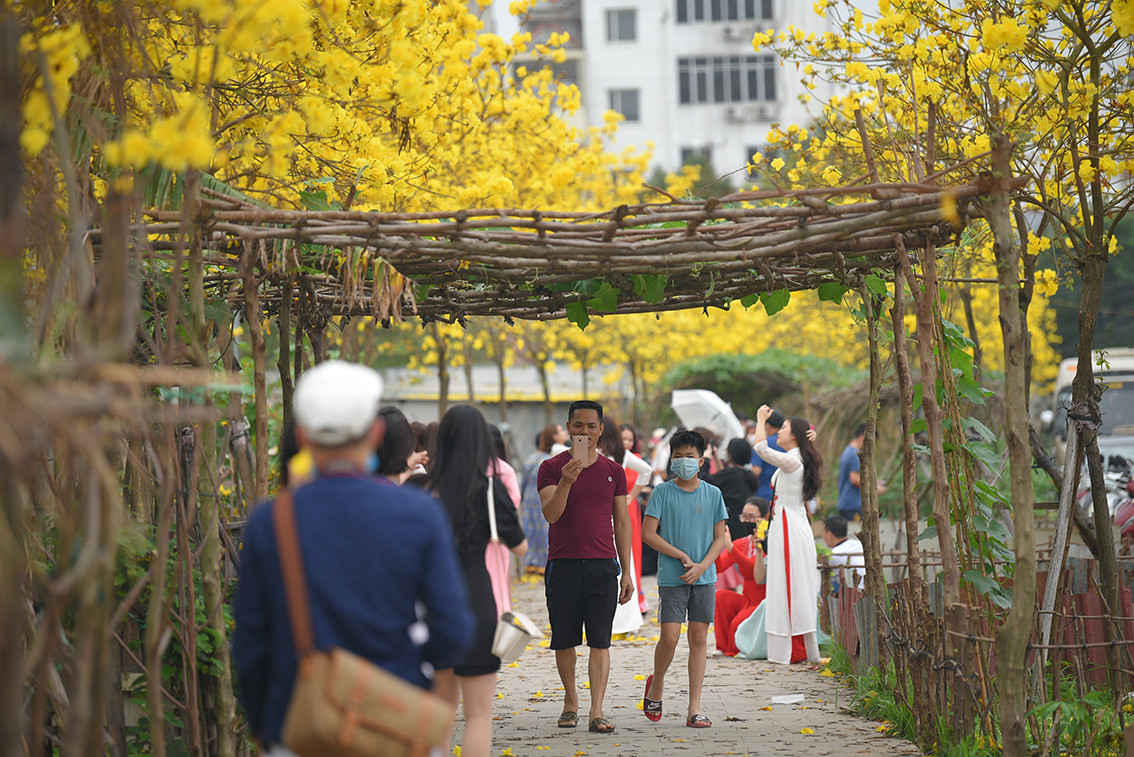 Mặc dù không đẹp như đường hoa cũ nhưng do nằm ngoài khu đô thị nên đường hoa Phong Linh mới ngay lập tức có rất đông người tới check-in.