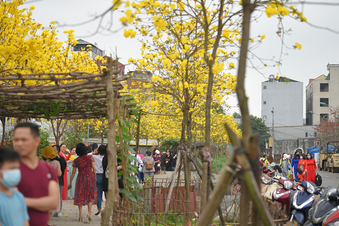 Theo ghi nhận của PV Báo Tri thức và Cuộc sống, trong ngày cuối tuần đã có hàng nghìn lượt người tới chụp ảnh.