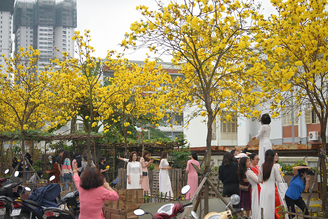 Để có bức ảnh đẹp, nhiều người đã không ngại mạo hiểm đứng treo leo trên thang để chụp ảnh.