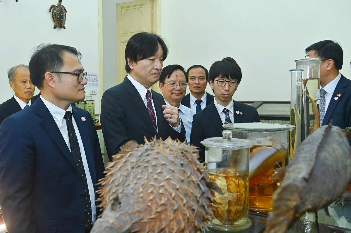 Hoang Thai tu Nhat Ban tham bao tang Sinh hoc, Truong DH Khoa hoc Tu nhien-Hinh-3